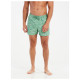 Protest Ανδρικό μαγιό PRTTifton Short Swim Shorts